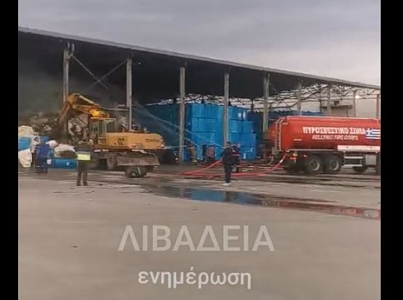 Φωτιά σε εργοστάσιο βάμβακος στη Λιβαδειά