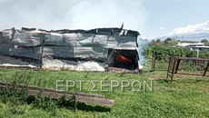 Σέρρες: Φωτιά σε ποιμνιοστάσιο στα Ίβηρα – Κάηκαν έντεκα πρόβατα