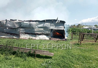 Σέρρες: Φωτιά σε ποιμνιοστάσιο στα Ίβηρα – Κάηκαν έντεκα πρόβατα