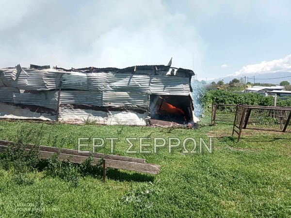 Σέρρες: Φωτιά σε ποιμνιοστάσιο στα Ίβηρα – Κάηκαν έντεκα πρόβατα