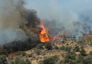 Πήλιο: Φωτιά σε πευκοδάσος στο Νεοχώρι