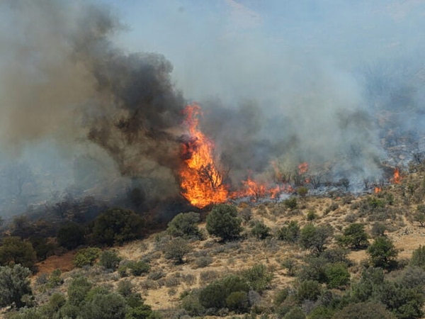 Πήλιο: Φωτιά σε πευκοδάσος στο Νεοχώρι