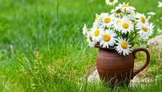 Γιορτή σήμερα 9 Απριλίου – Ποιοι γιορτάζουν | Εορτολόγιο