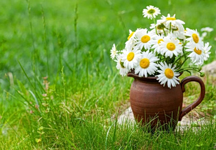 Γιορτή σήμερα 9 Απριλίου – Ποιοι γιορτάζουν | Εορτολόγιο