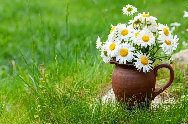 Γιορτή σήμερα 9 Απριλίου – Ποιοι γιορτάζουν | Εορτολόγιο