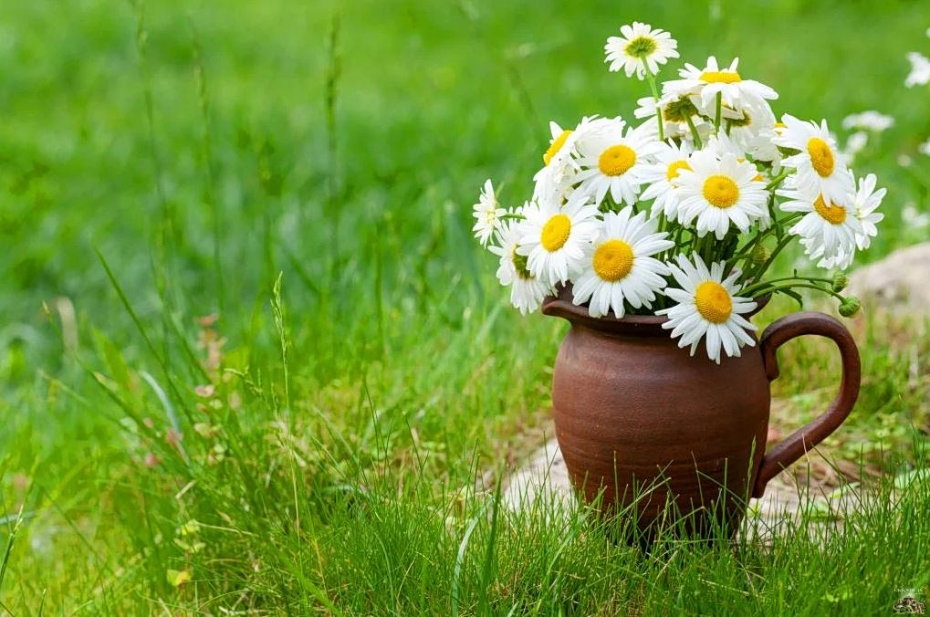 Γιορτή σήμερα 9 Απριλίου – Ποιοι γιορτάζουν | Εορτολόγιο