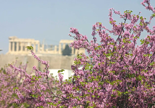 Ανοιξιάτικος καιρός με άνοδο της θερμοκρασίας – Η πρόγνωση για τις επόμενες μέρες