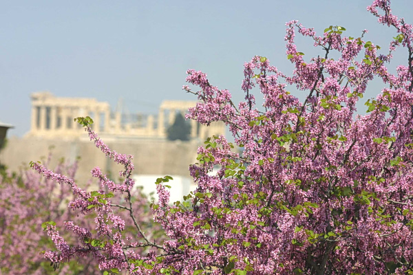 Καιρός: Αίθριος τη Μεγάλη Τρίτη με άνοδο της θερμοκρασίας – Η πρόγνωση για τις επόμενες μέρες