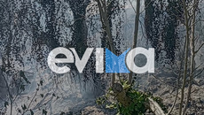 Εύβοια: Συνελήφθη 56χρονος για φωτιά στα Πλατάνα