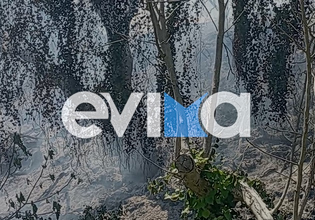 Εύβοια: Συνελήφθη 56χρονος για φωτιά στα Πλατάνα