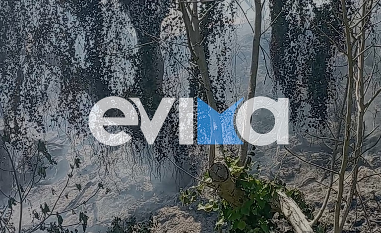 Εύβοια: Συνελήφθη 56χρονος για φωτιά στα Πλατάνα