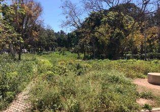 Πάρκο που μοιάζει με απεριποίητο… μποστάνι – Κίνδυνος σε λεωφόρο για πεζούς και οδηγούς στο κέντρο του Ηρακλείου