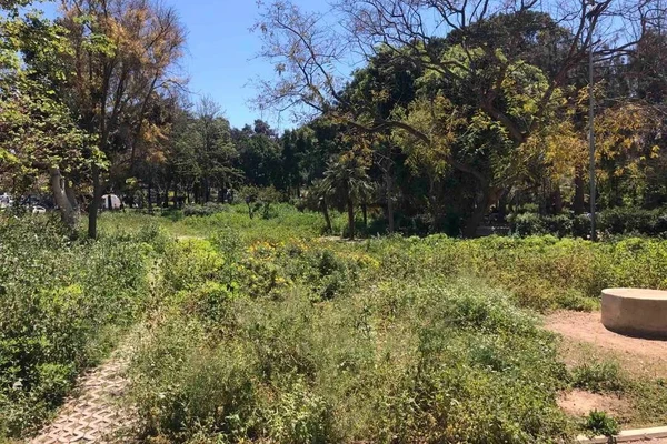 Πάρκο που μοιάζει με απεριποίητο… μποστάνι – Κίνδυνος σε λεωφόρο για πεζούς και οδηγούς στο κέντρο του Ηρακλείου