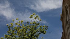 «Ο καιρός του Πάσχα δεν έχει ακόμη πει την τελευταία του λέξη» – Η σύγκρουση δύο προγνωστικών μοντέλων