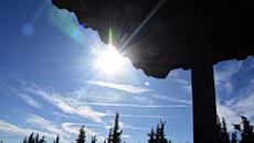 Ξανά Άνοιξη από σήμερα – Ανεβαίνει ο υδράργυρος