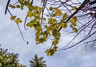 Με χειμωνιάτικο καιρό η Πρωτομαγιά- «Επιβεβαιώνεται η ψυχρή εισβολή» λέει ο Θοδωρής Κολυδάς