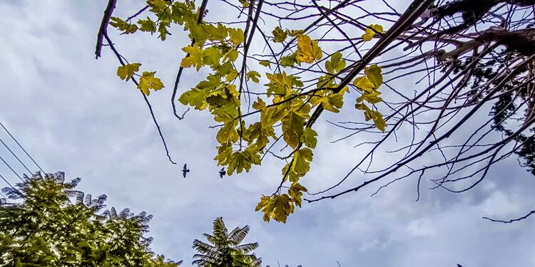 Με χειμωνιάτικο καιρό η Πρωτομαγιά- «Επιβεβαιώνεται η ψυχρή εισβολή» λέει ο Θοδωρής Κολυδάς
