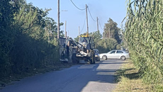 Καλαμάτα: Αυτοκτονία πίσω από τον θάνατο 44χρονου σε στάβλο – Έξι συλλήψεις για σκηνοθετημένη δολοφονία