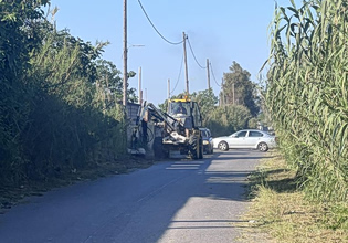 Καλαμάτα: Αυτοκτονία πίσω από τον θάνατο 44χρονου σε στάβλο – Έξι συλλήψεις για σκηνοθετημένη δολοφονία