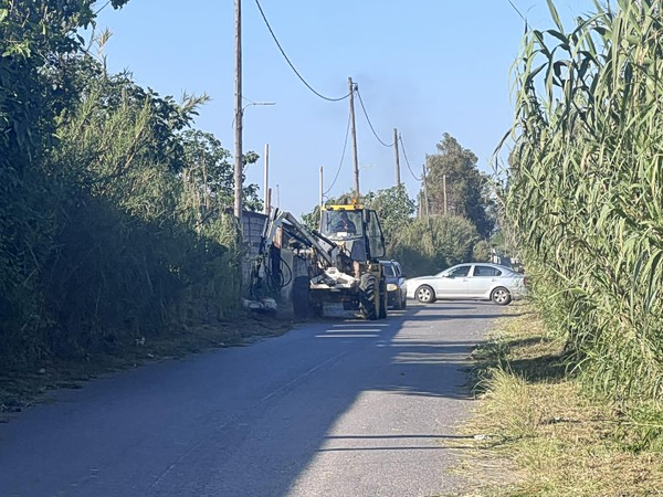 Καλαμάτα: Αυτοκτονία πίσω από τον θάνατο 44χρονου σε στάβλο – Έξι συλλήψεις για σκηνοθετημένη δολοφονία