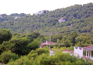 Νομιμοποιούνται όσα τουριστικά ακίνητα βρίσκονται σε δάση – Νέα ρύθμιση