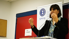 Ο θεσμός της Ευρωπαϊκής Εισαγγελίας και το Σύνταγμα: Μια λεπτή ισορροπία