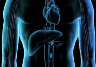 Ιογενείς ηπατίτιδες: Εμβόλια και προηγμένες θεραπείες προστατεύουν τη δημόσια υγεία