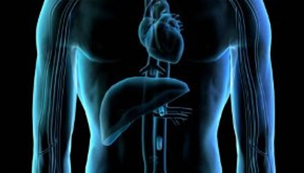 Ιογενείς ηπατίτιδες: Εμβόλια και προηγμένες θεραπείες προστατεύουν τη δημόσια υγεία