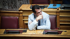 Σύριοι στο στόχαστρο του δόγματος Πλεύρη