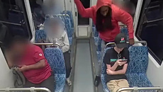 Ψυχικά ανίκανος να δικαστεί ο άνθρωπος που δολοφόνησε Ουκρανή σε τρένο των ΗΠΑ