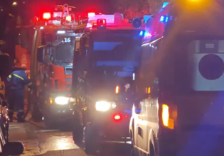 Πυροσβέστες διέσωσαν ηλικιωμένη και τέσσερα σκυλιά σε φωτιά στην Καλλιθέα