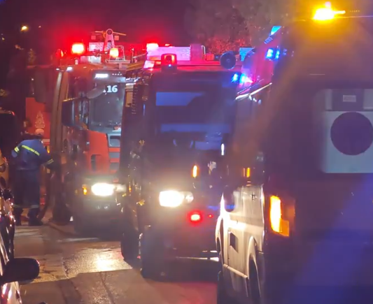 Πυροσβέστες διέσωσαν ηλικιωμένη και τέσσερα σκυλιά σε φωτιά στην Καλλιθέα