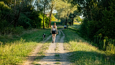 Ο συνδυασμός που πάει το περπάτημα σε άλλο επίπεδο