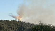 Φωτιά σε δασική έκταση στη Σκιάθο – Μεγάλη κινητοποίηση της πυροσβεστικής