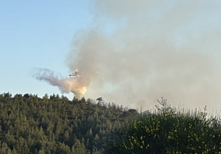 Φωτιά σε δασική έκταση στη Σκιάθο – Μεγάλη κινητοποίηση της πυροσβεστικής