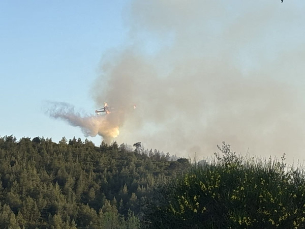 Φωτιά σε δασική έκταση στη Σκιάθο – Μεγάλη κινητοποίηση της πυροσβεστικής