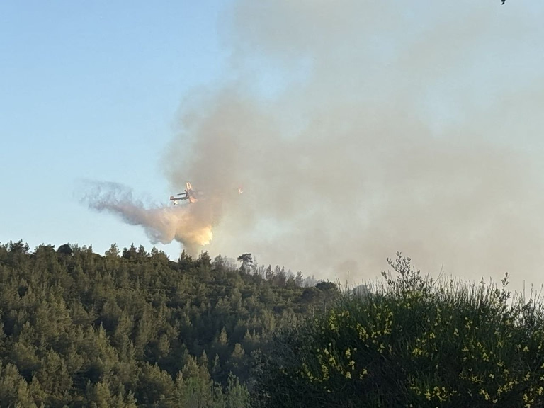 Φωτιά σε δασική έκταση στη Σκιάθο – Μεγάλη κινητοποίηση της πυροσβεστικής