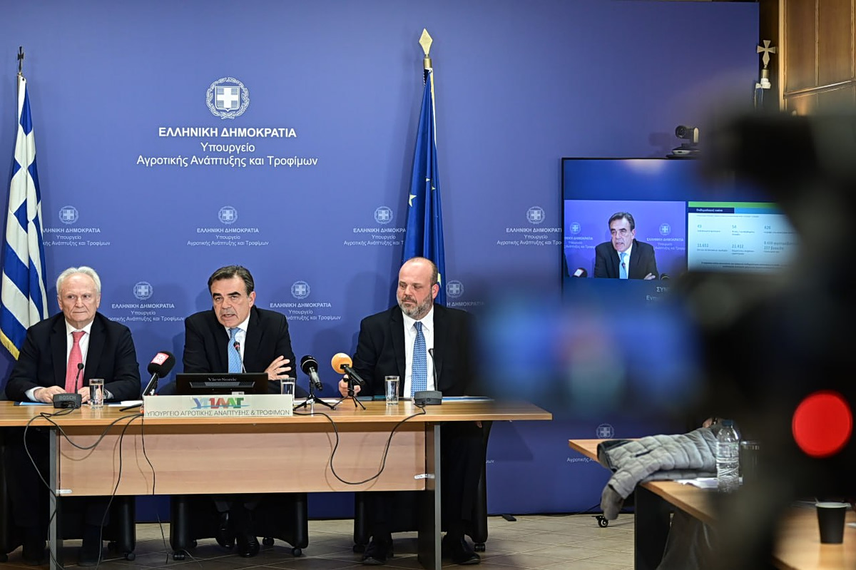 Τα μέτρα στήριξης για τον αφθώδη πυρετό: Αποζημιώσεις, ενισχύσεις και κρίσιμες αποφάσεις για κτηνοτρόφους και τυροκόμους