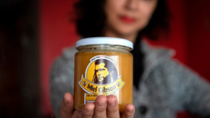 Πέδρο Πασκάλ εναντίον Pedro Piscal, Mελ Γκίμπσον εναντίον Miel Gibson – Είναι τα λογοπαίγνια μηνύσιμα;