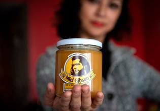 Πέδρο Πασκάλ εναντίον Pedro Piscal, Mελ Γκίμπσον εναντίον Miel Gibson – Είναι τα λογοπαίγνια μηνύσιμα;