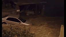 Πόρος: Μεγάλες καταστροφές στο Λεμονοδάσος από την κακοκαιρία – Πάνω από 1,5 μέτρο η καθίζηση του εδάφους