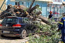 Έπεσαν δέντρα στη Θεσσαλονίκη από τους ισχυρούς ανέμους – Τραυματίστηκαν ελαφρά δύο παιδιά, καταπλακώθηκε ΙΧ