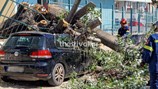 Έπεσαν δέντρα στη Θεσσαλονίκη από τους ισχυρούς ανέμους – Τραυματίστηκαν ελαφρά δύο παιδιά, καταπλακώθηκε ΙΧ