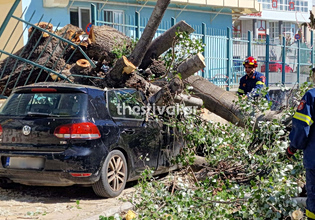 Έπεσαν δέντρα στη Θεσσαλονίκη από τους ισχυρούς ανέμους – Τραυματίστηκαν ελαφρά δύο παιδιά, καταπλακώθηκε ΙΧ