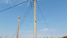 Έντεκα συλλήψεις για κλοπή ηλεκτρικού ρεύματος στη Δυτική Αχαΐα