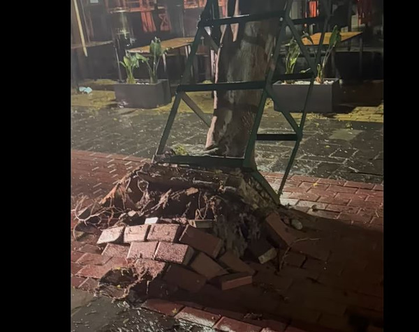 Η κακοκαιρία Erminio σφυροκοπά τη Ρόδο – Θυελλώδεις άνεμοι και καταρρακτώδης βροχή – Ήχησε το 112