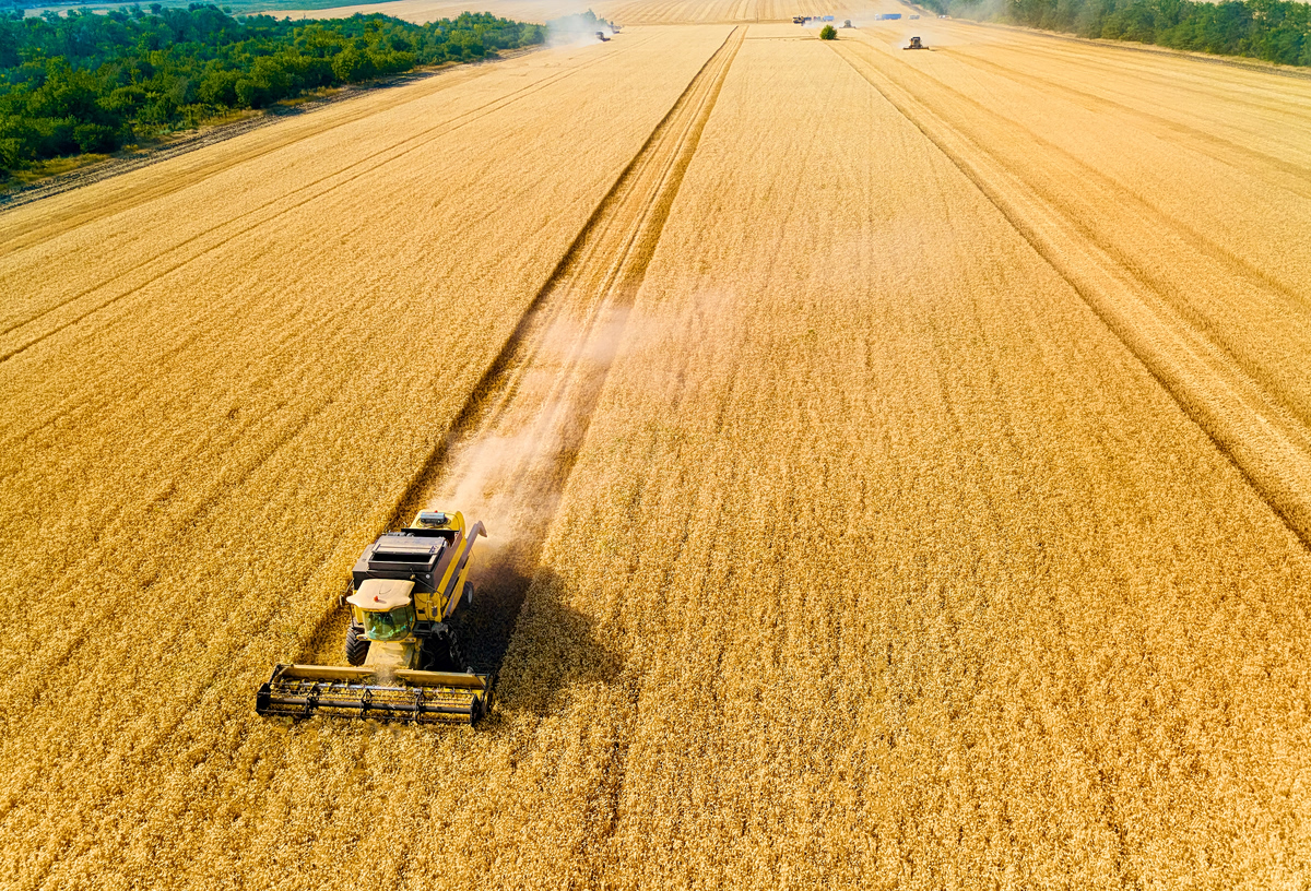 «Αγροδιατροφική καταστροφή» – Οι αυξήσεις στα τρόφιμα λόγω Ορμούζ θα διαρκέσουν χρόνια, προειδοποιεί ο ΟΗΕ
