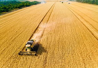 «Αγροδιατροφική καταστροφή» – Οι αυξήσεις στα τρόφιμα λόγω Ορμούζ θα διαρκέσουν χρόνια, προειδοποιεί ο ΟΗΕ