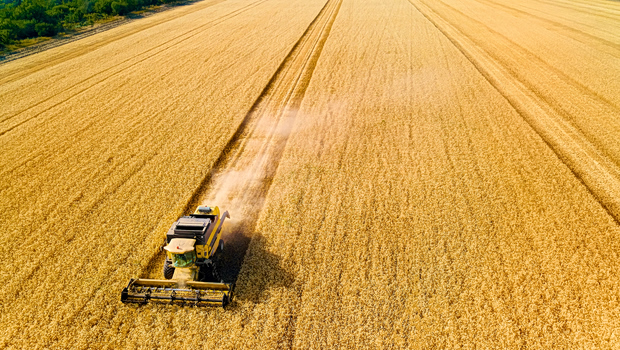 «Αγροδιατροφική καταστροφή» – Οι αυξήσεις στα τρόφιμα λόγω Ορμούζ θα διαρκέσουν χρόνια, προειδοποιεί ο ΟΗΕ