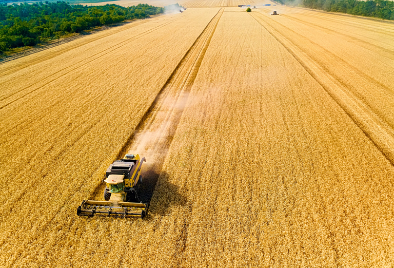 «Αγροδιατροφική καταστροφή» – Οι αυξήσεις στα τρόφιμα λόγω Ορμούζ θα διαρκέσουν χρόνια, προειδοποιεί ο ΟΗΕ